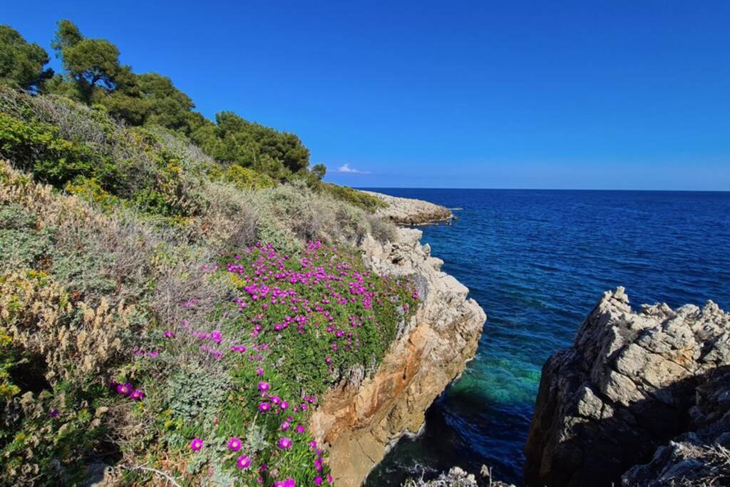 Casalionelantibes 70 Sqm Apartment With Garden And Parking Kültér fotó