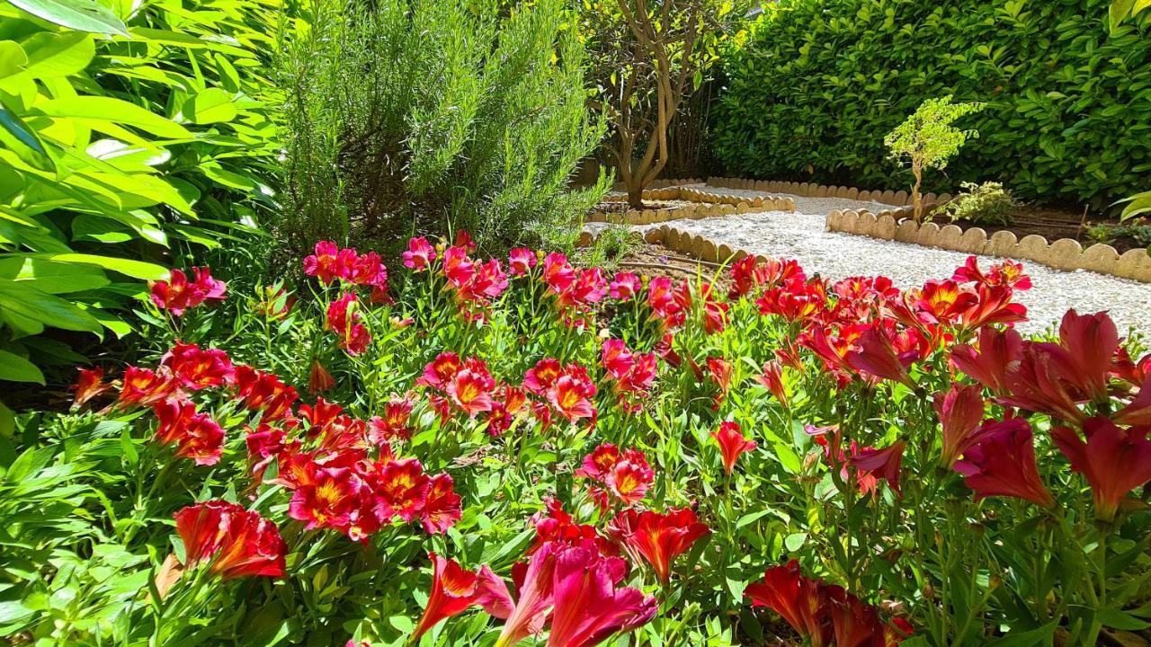 Casalionelantibes 70 Sqm Apartment With Garden And Parking Kültér fotó