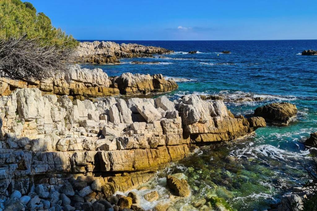 Casalionelantibes 70 Sqm Apartment With Garden And Parking Kültér fotó
