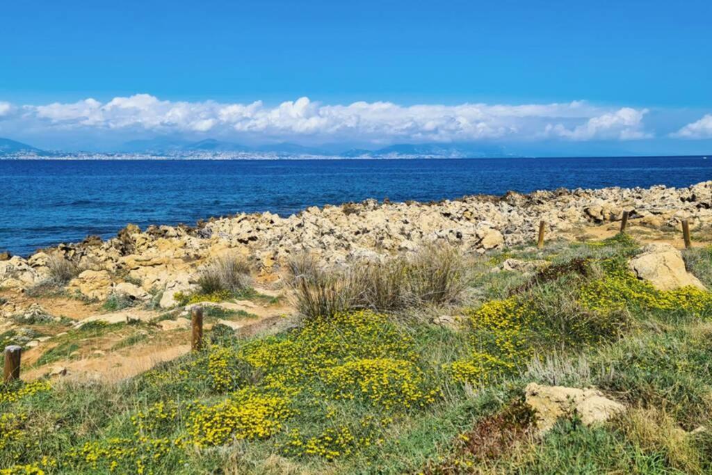 Casalionelantibes 70 Sqm Apartment With Garden And Parking Kültér fotó